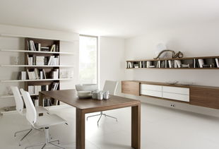 密集书架有哪些显著特征