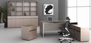 办公室装修中植物的配置